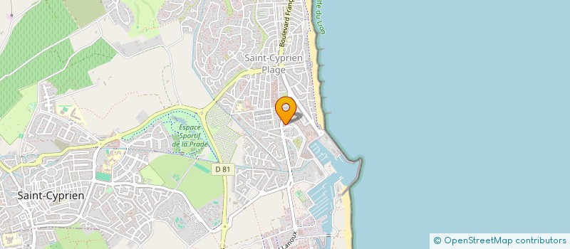 localisation de l'entreprise MONSIEUR DAVID BRANDON  SAINT-CYPRIEN