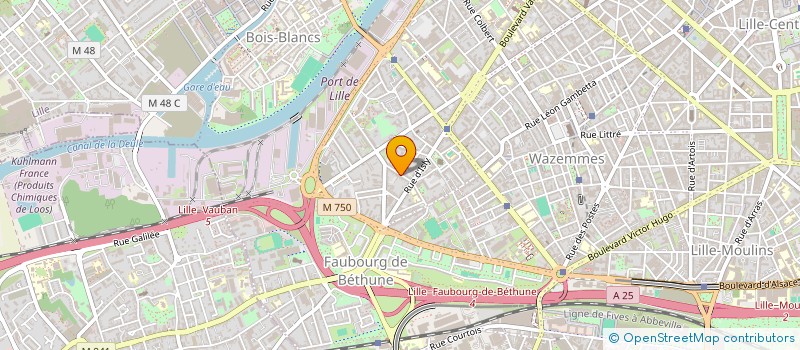 localisation de l'entreprise MONSIEUR DAVID BREJAUD à LILLE