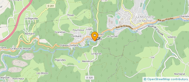 localisation de l'entreprise MONSIEUR DAVID BRINGER  THIERS