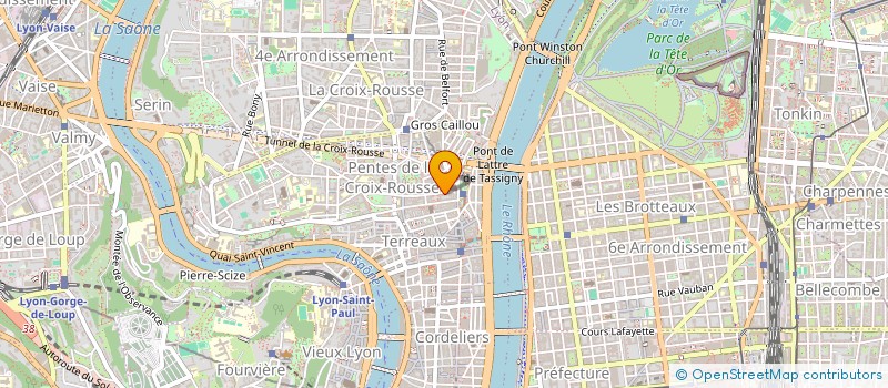 localisation de l'entreprise MONSIEUR DAVID BRUCKNER à LYON