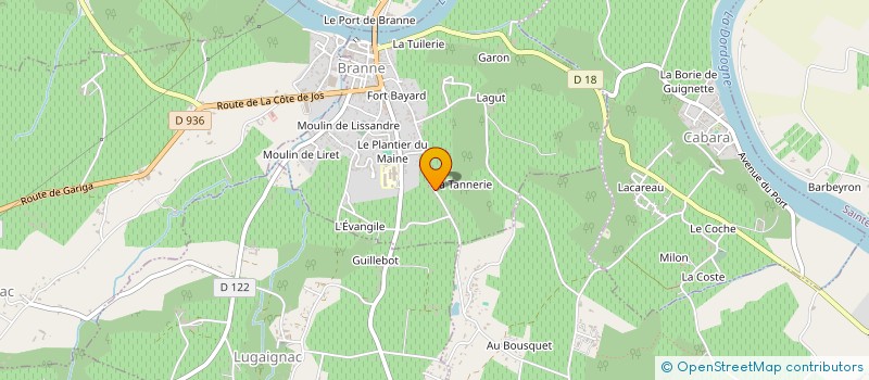 localisation de l'entreprise MONSIEUR DAVID BRUINEN  BRANNE