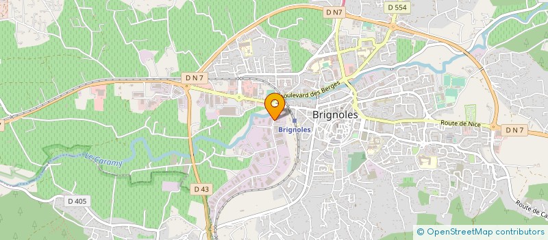 localisation de l'entreprise MONSIEUR DAVID BRULIARD  BRIGNOLES