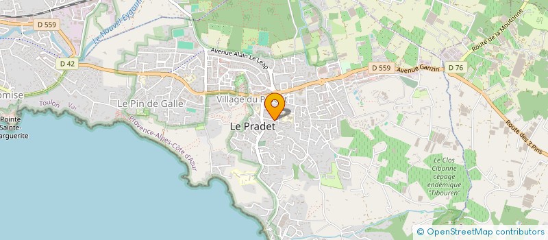 localisation de l'entreprise MONSIEUR DAVID CALVET  LE PRADET