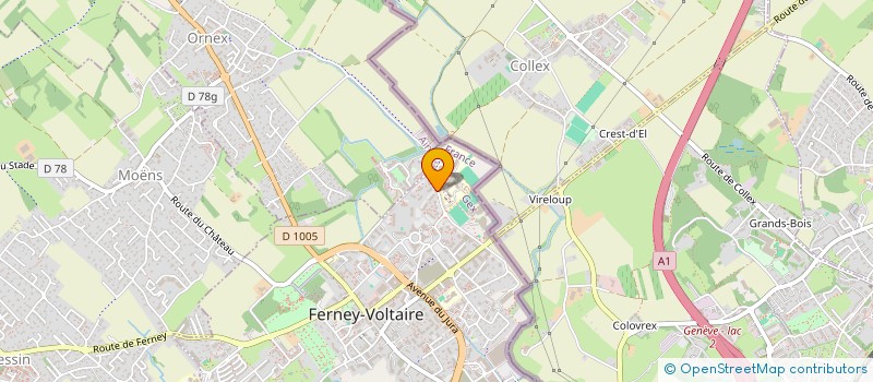 localisation de l'entreprise MONSIEUR DAVID CHASSAGNE à FERNEY-VOLTAIRE