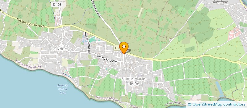 localisation de l'entreprise MONSIEUR DAVID COLDONAT  SAINTE-MARIE-DE-RE