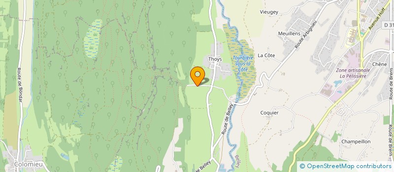 localisation de l'entreprise MONSIEUR DAVID COLLIN  MASSIGNIEU-DE-RIVES