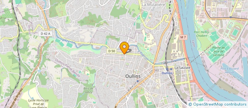 localisation de l'entreprise MONSIEUR DAVID COLSON  OULLINS-PIERRE-BENITE