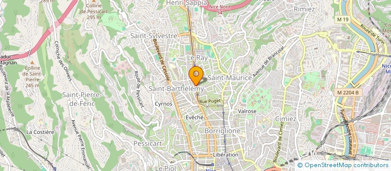 localisation de l'entreprise MONSIEUR DAVID CORAJOD à NICE
