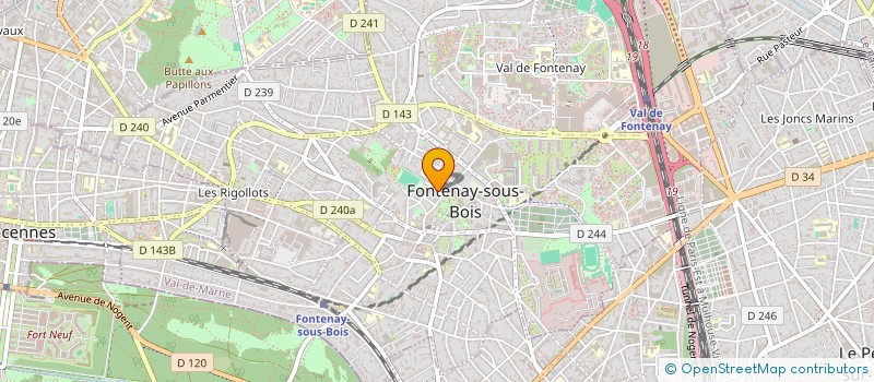 localisation de l'entreprise MONSIEUR DAVID COSSON à FONTENAY-SOUS-BOIS