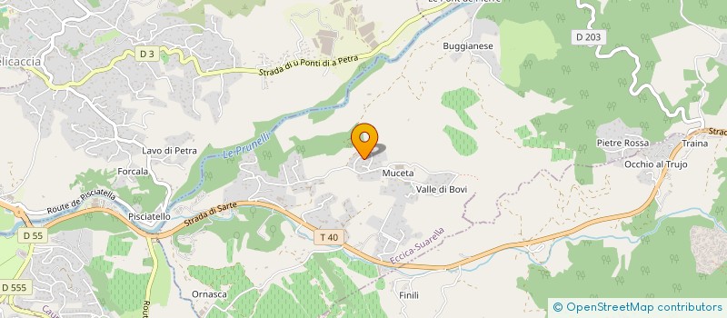 localisation de l'entreprise MONSIEUR DAVID COUTO  ECCICA-SUARELLA