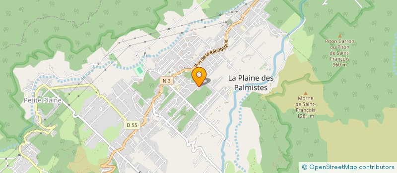 localisation de l'entreprise MONSIEUR DAVID D'EURVEILHER à LA PLAINE-DES-PALMISTES