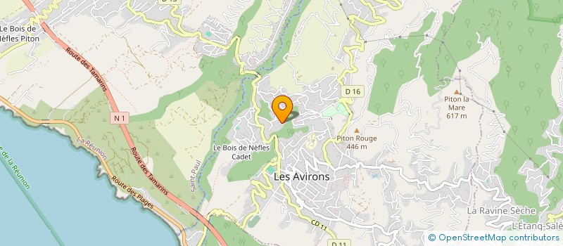 localisation de l'entreprise MONSIEUR DAVID DA COSTA SA  LES AVIRONS