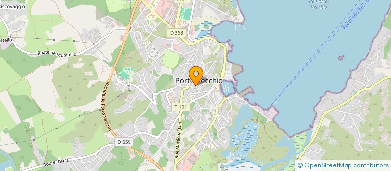 localisation de l'entreprise MONSIEUR DAVID DA SILVA AMORIM à PORTO VECCHIO