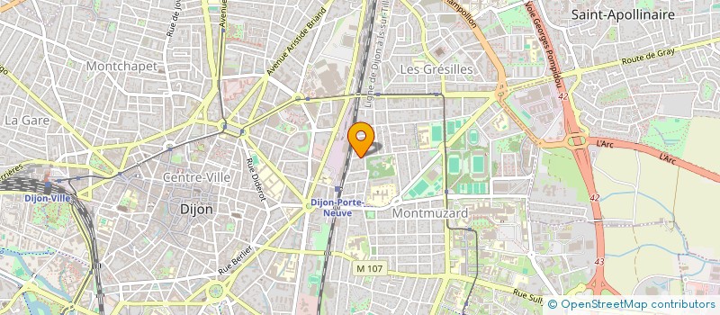 localisation de l'entreprise MONSIEUR DAVID DAIZE  DIJON