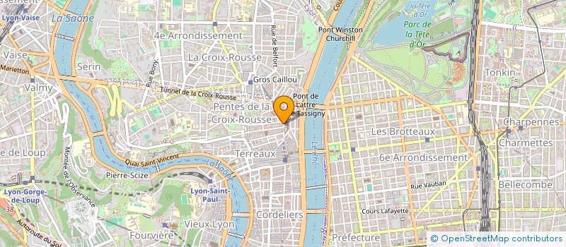 localisation de l'entreprise MONSIEUR DAVID DAO CASTELLANA  VENISSIEUX