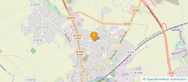 localisation de l'entreprise MONSIEUR DAVID DECLEMY  LA BASSEE