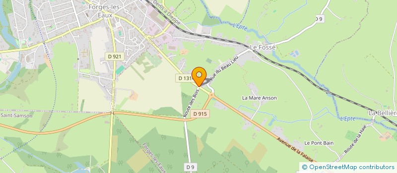 localisation de l'entreprise MONSIEUR DAVID DELALANDRE  FORGES-LES-EAUX