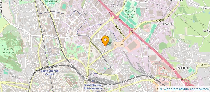 localisation de l'entreprise MONSIEUR DAVID DELLI  SAINT-ETIENNE