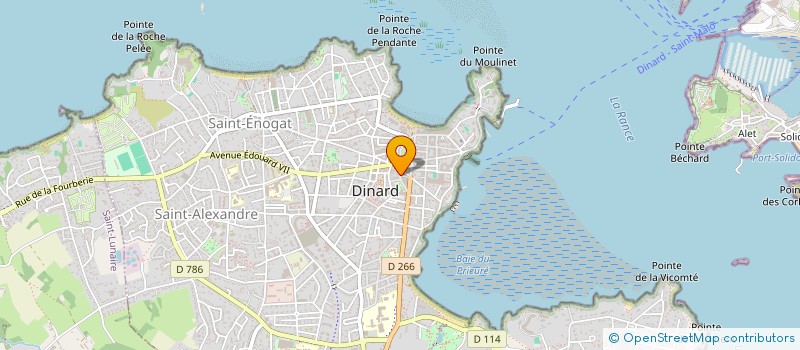 localisation de l'entreprise MONSIEUR DAVID DESCROT  DINARD