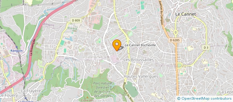 localisation de l'entreprise MONSIEUR DAVID DI BLASI à LE CANNET