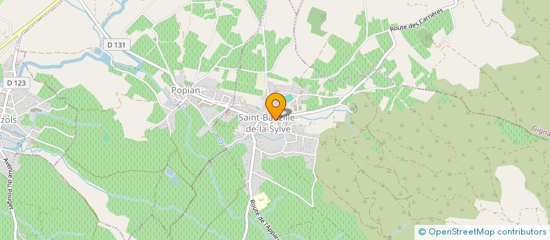 localisation de l'entreprise MONSIEUR DAVID DIGOUT  SAINT-BAUZILLE-DE-LA-SYLVE