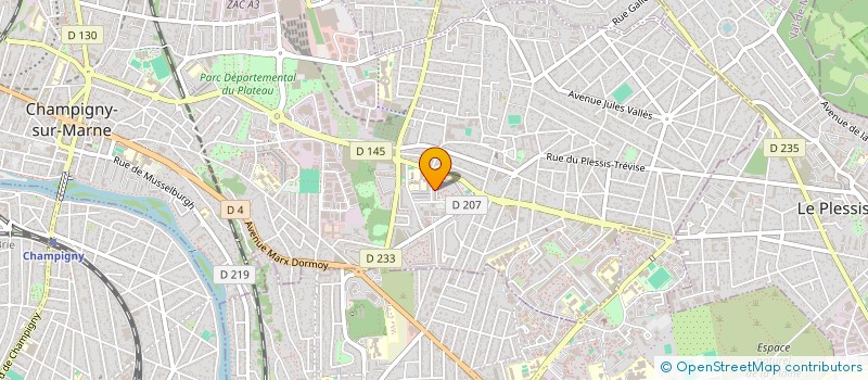 localisation de l'entreprise MONSIEUR DAVID DORSILE  CHAMPIGNY-SUR-MARNE