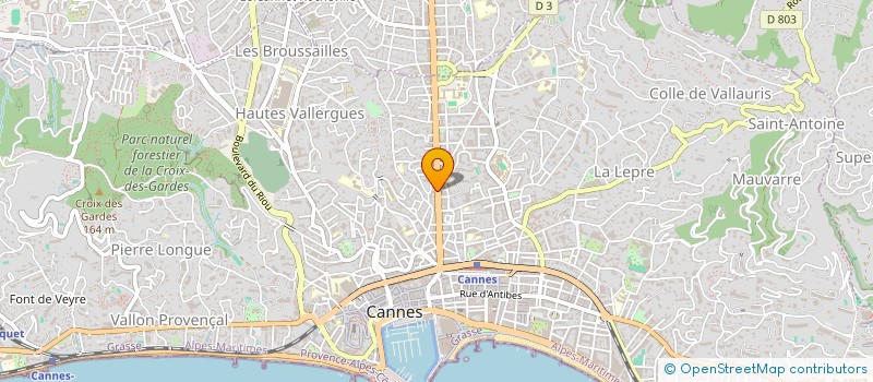 localisation de l'entreprise MONSIEUR DAVID DUARTE PONCE  CANNES