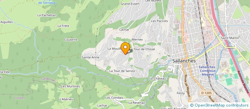 localisation de l'entreprise MONSIEUR DAVID DUCREY  SALLANCHES