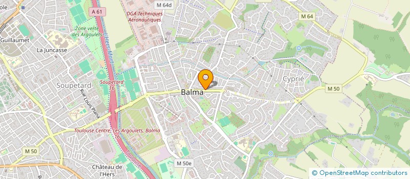 localisation de l'entreprise MONSIEUR DAVID DULYS  BALMA