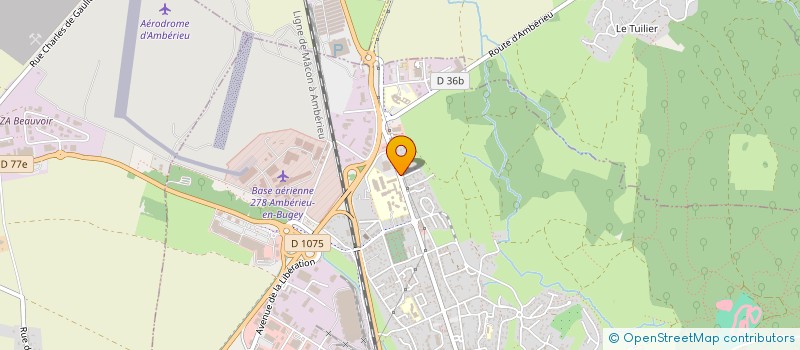 localisation de l'entreprise MONSIEUR DAVID DURAND ROJON  AMBERIEU-EN-BUGEY