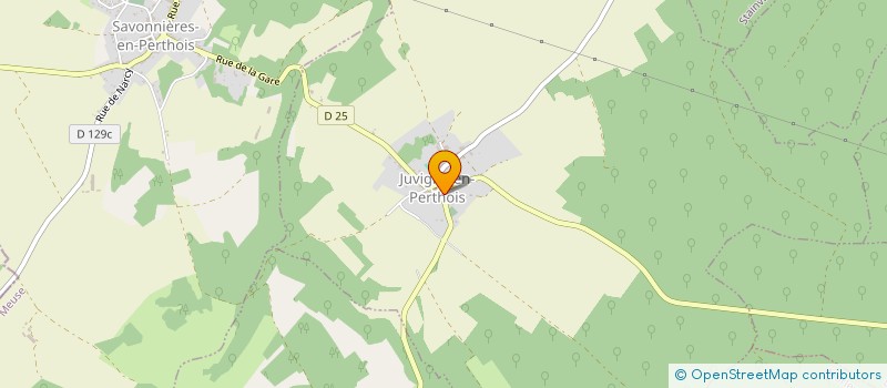 localisation de l'entreprise MONSIEUR DAVID DUVAL  SAVONNIERES-EN-PERTHOIS
