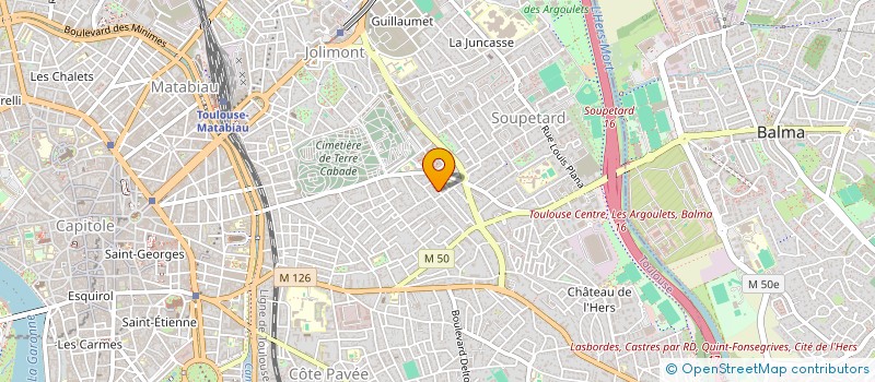 localisation de l'entreprise MONSIEUR DAVID-EMMANUEL LEVY à TOULOUSE