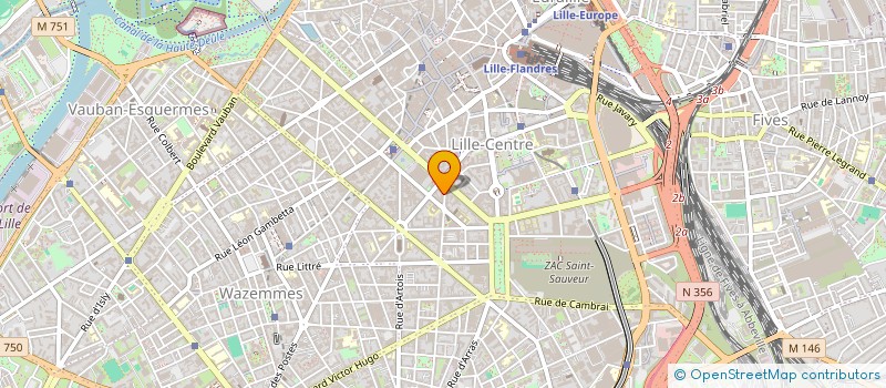 localisation de l'entreprise MONSIEUR DAVID EVE à LILLE