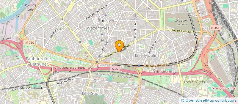 localisation de l'entreprise MONSIEUR DAVID FALTOT à LILLE
