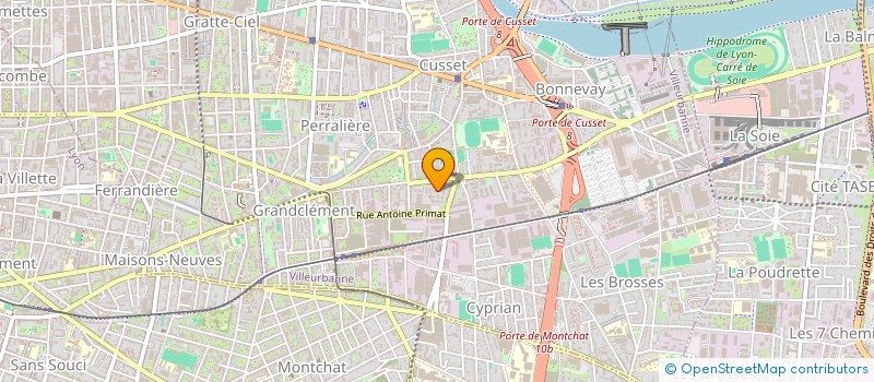 localisation de l'entreprise MONSIEUR DAVID FERNANDES  VILLEURBANNE