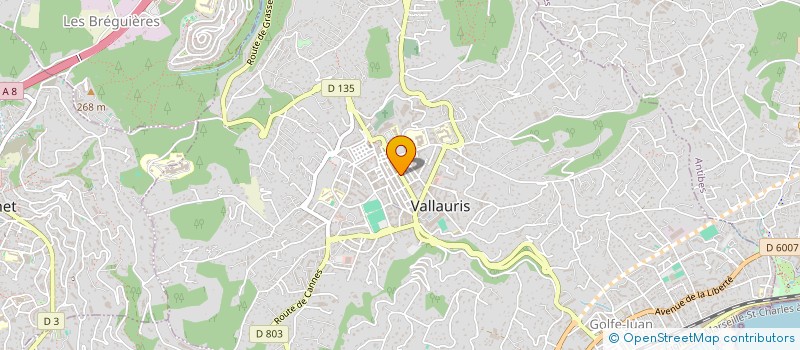 localisation de l'entreprise MONSIEUR DAVID FERRIOL à VALLAURIS
