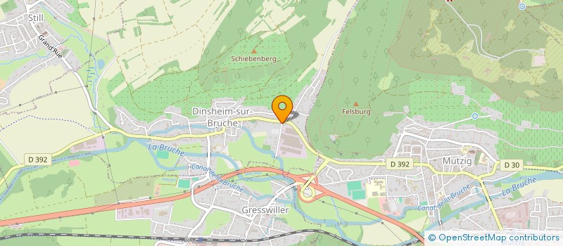 localisation de l'entreprise MONSIEUR DAVID FIENG  GRESSWILLER