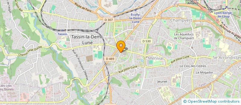 localisation de l'entreprise MONSIEUR DAVID FILLON  TASSIN-LA-DEMI-LUNE