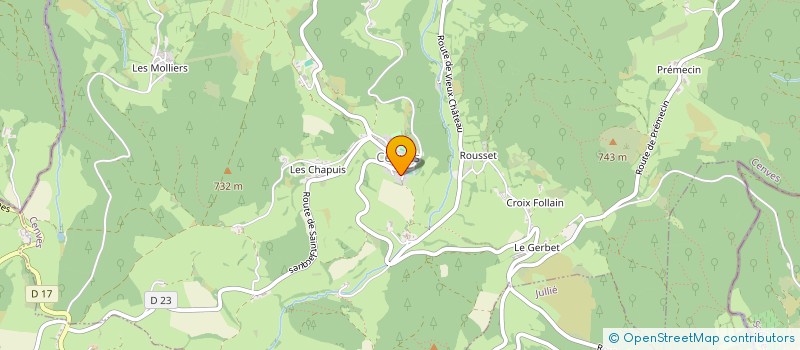 localisation de l'entreprise MONSIEUR DAVID FOURNIER  CHENAS