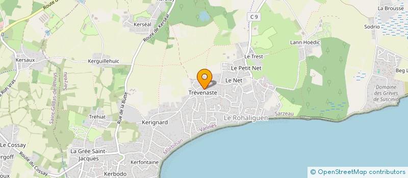 localisation de l'entreprise MONSIEUR DAVID FRECINAUX  SARZEAU