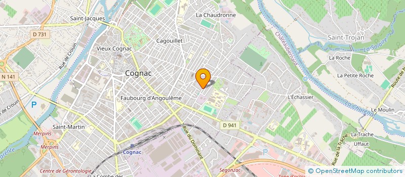 localisation de l'entreprise MONSIEUR DAVID GAUDUCHEAU à COGNAC