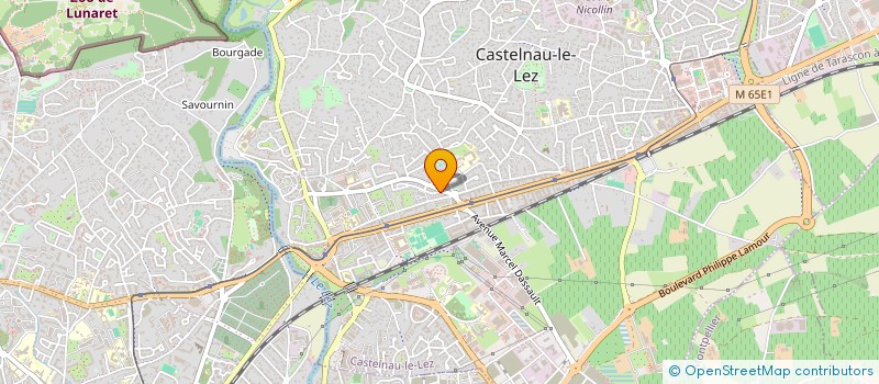 localisation de l'entreprise MONSIEUR DAVID GAUTHERON à CASTELNAU-LE-LEZ