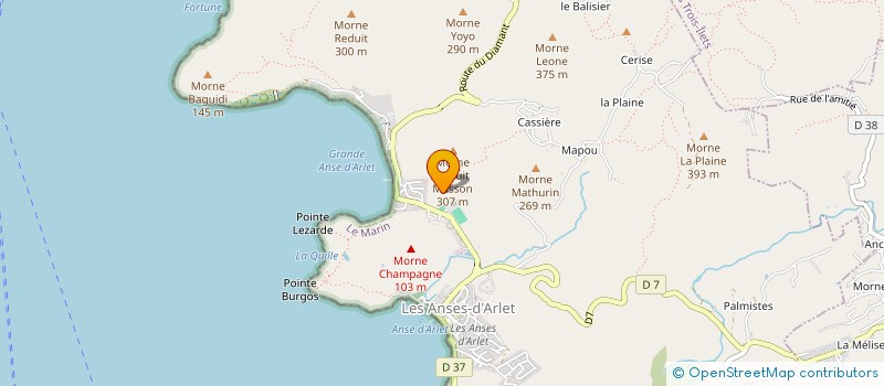 localisation de l'entreprise MONSIEUR DAVID GEORGES EUCHARIS à ANSES D'ARLET