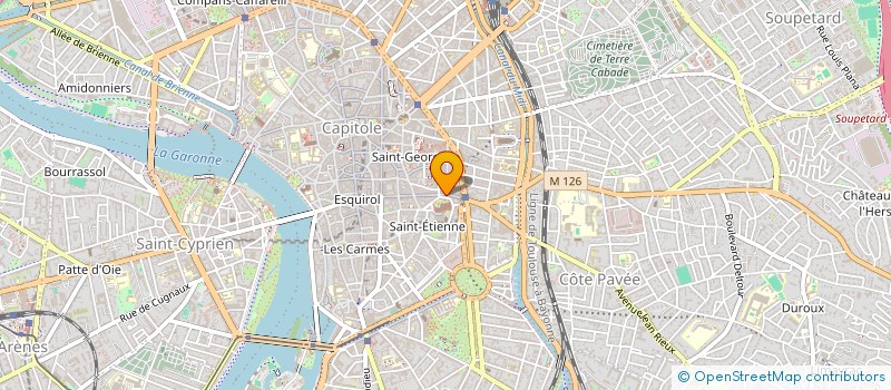 localisation de l'entreprise MONSIEUR DAVID GILLET  TOULOUSE