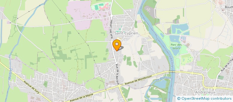 localisation de l'entreprise MONSIEUR DAVID GOMES GONCALVES  SAINT-CYPRIEN