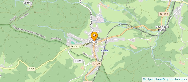 localisation de l'entreprise MONSIEUR DAVID GOMET  SAALES