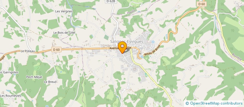 localisation de l'entreprise MONSIEUR DAVID GONCALVES PEREIRA  SALIGNAC-EYVIGUES