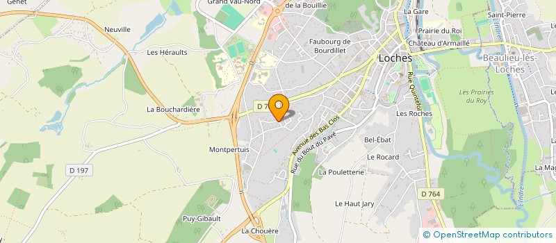 localisation de l'entreprise MONSIEUR DAVID GOUDET à LOCHES