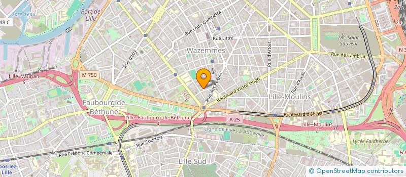 localisation de l'entreprise MONSIEUR DAVID GOUJARD à LILLE