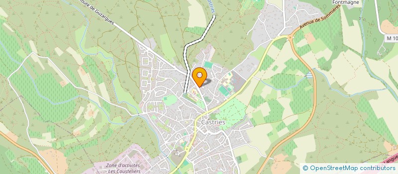 localisation de l'entreprise MONSIEUR DAVID GUERINEAU  CASTRIES